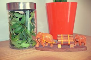 Fresh Curry Leaves Stored